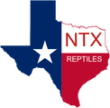 NTX Reptiles